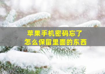 苹果手机密码忘了 怎么保留里面的东西